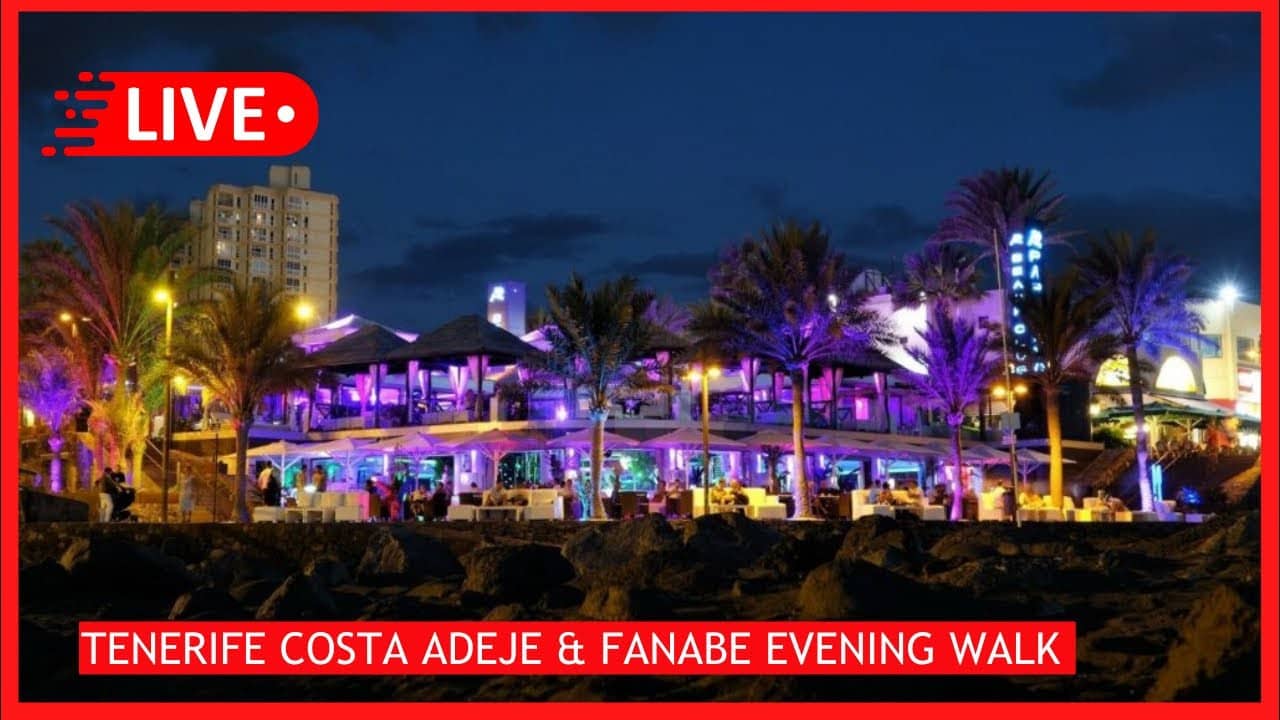 Live Evening Music