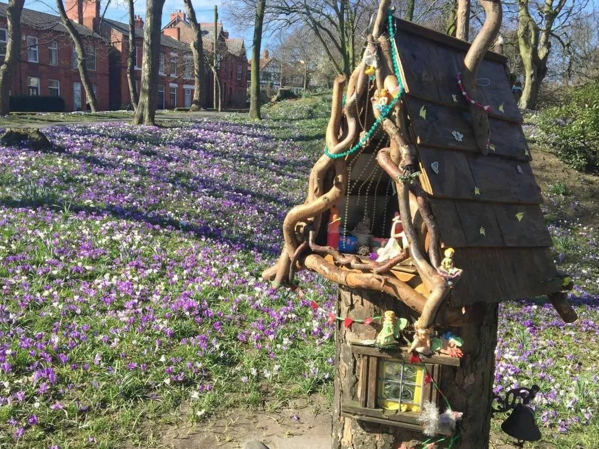 Fairy Garden