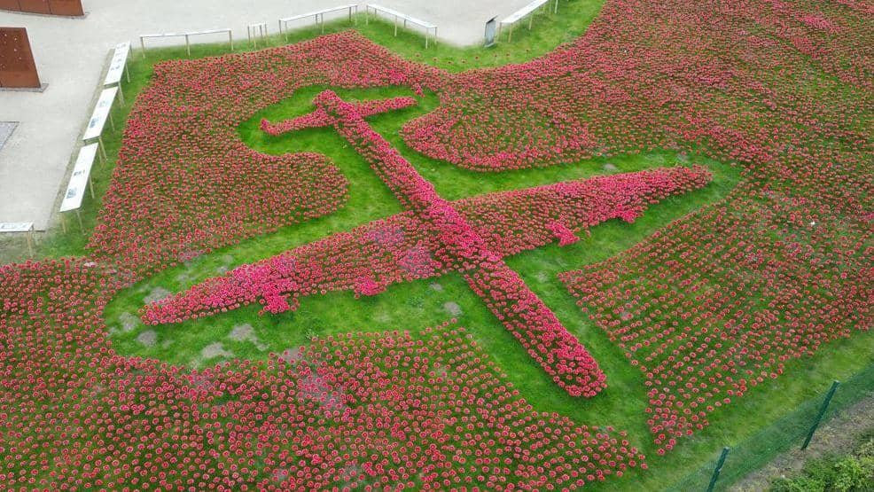Poppy Displays