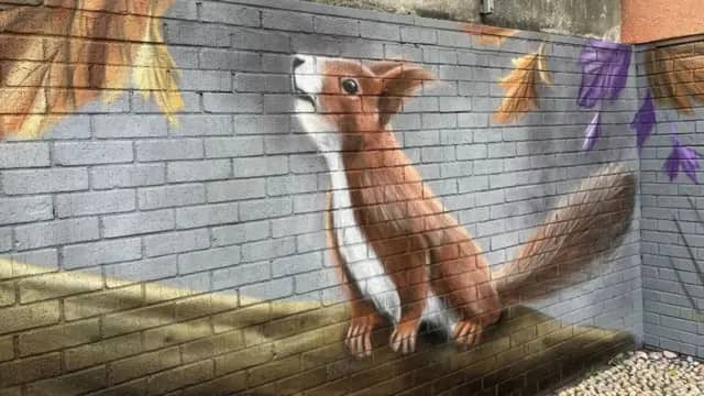 Local Artist Showcases