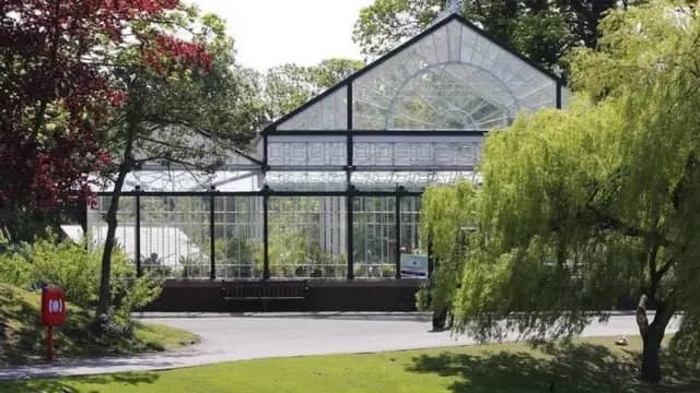 Sensory Garden