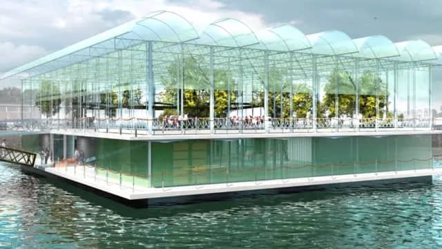 Vertical Farming
