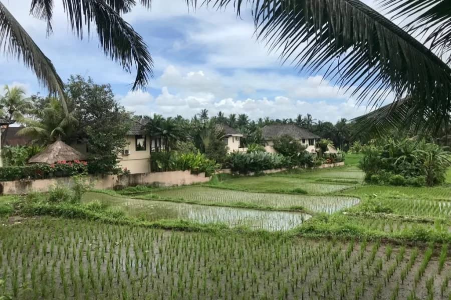 Peaceful Village Atmosphere