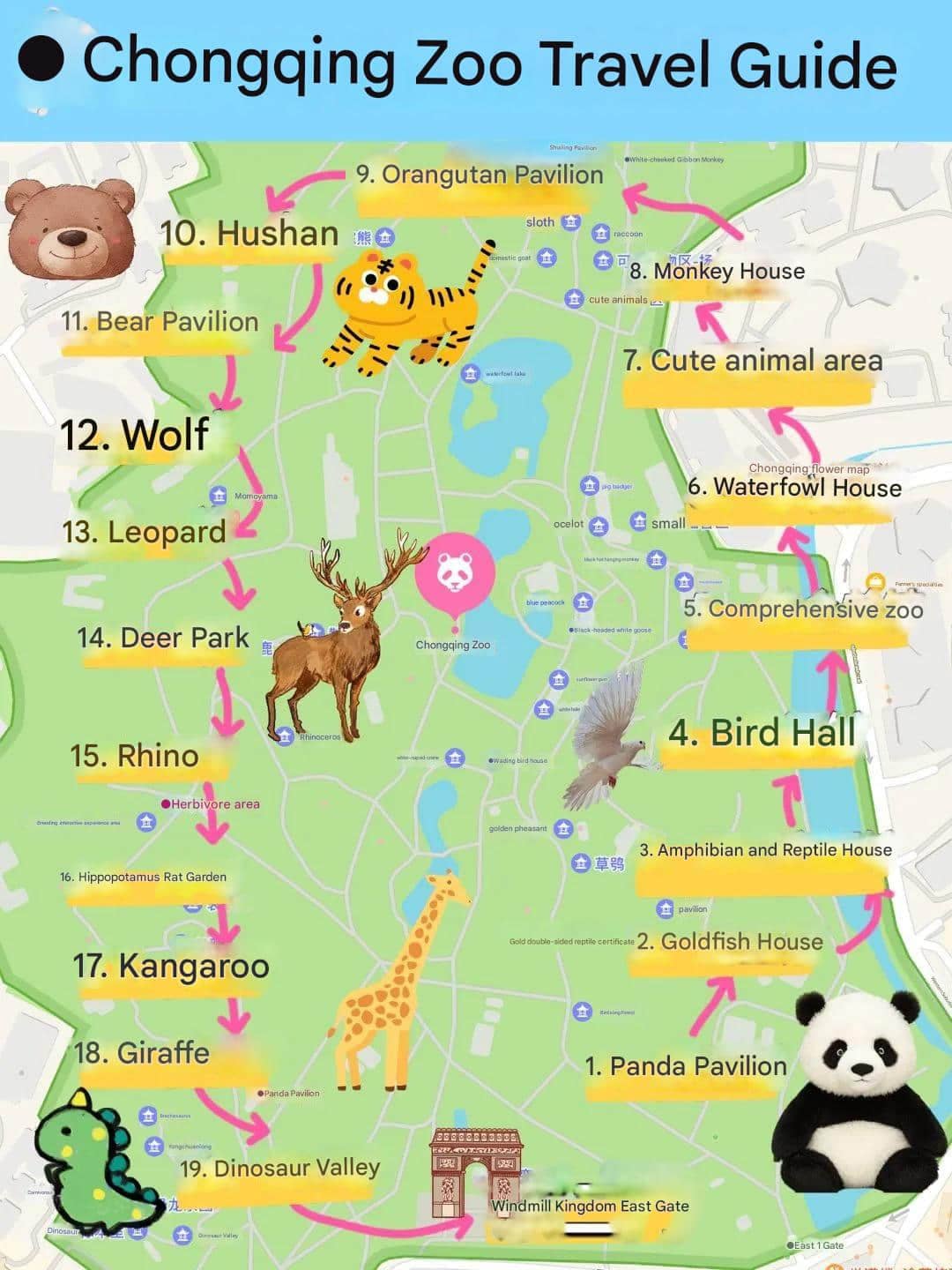 Diverse Animal Collection