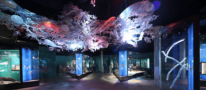 Baltic Sea Exhibitions
