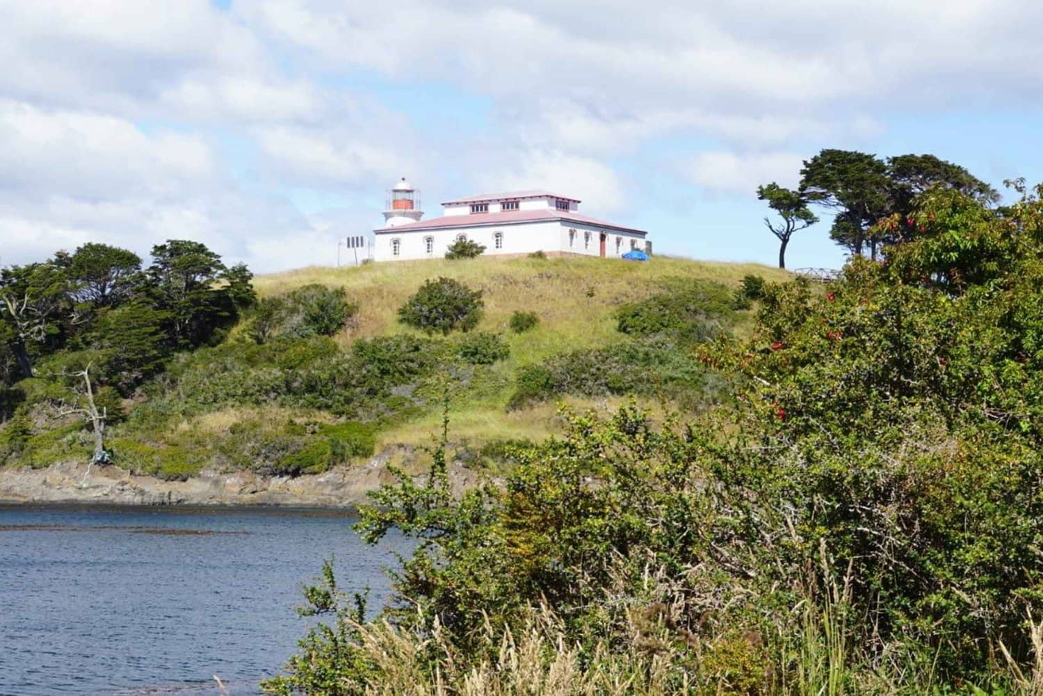 Marine Wildlife Spotting