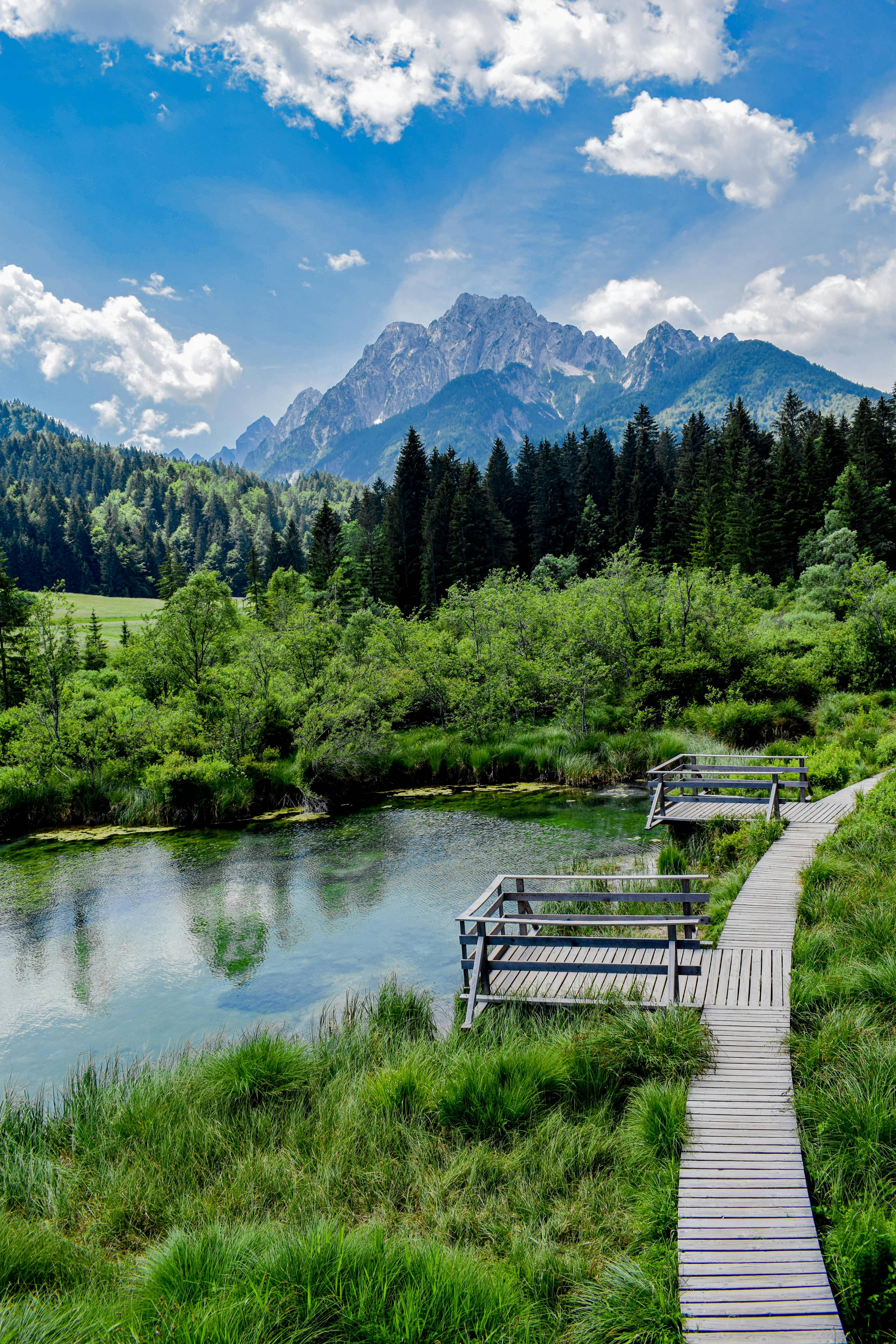 Lake and Boardwalks