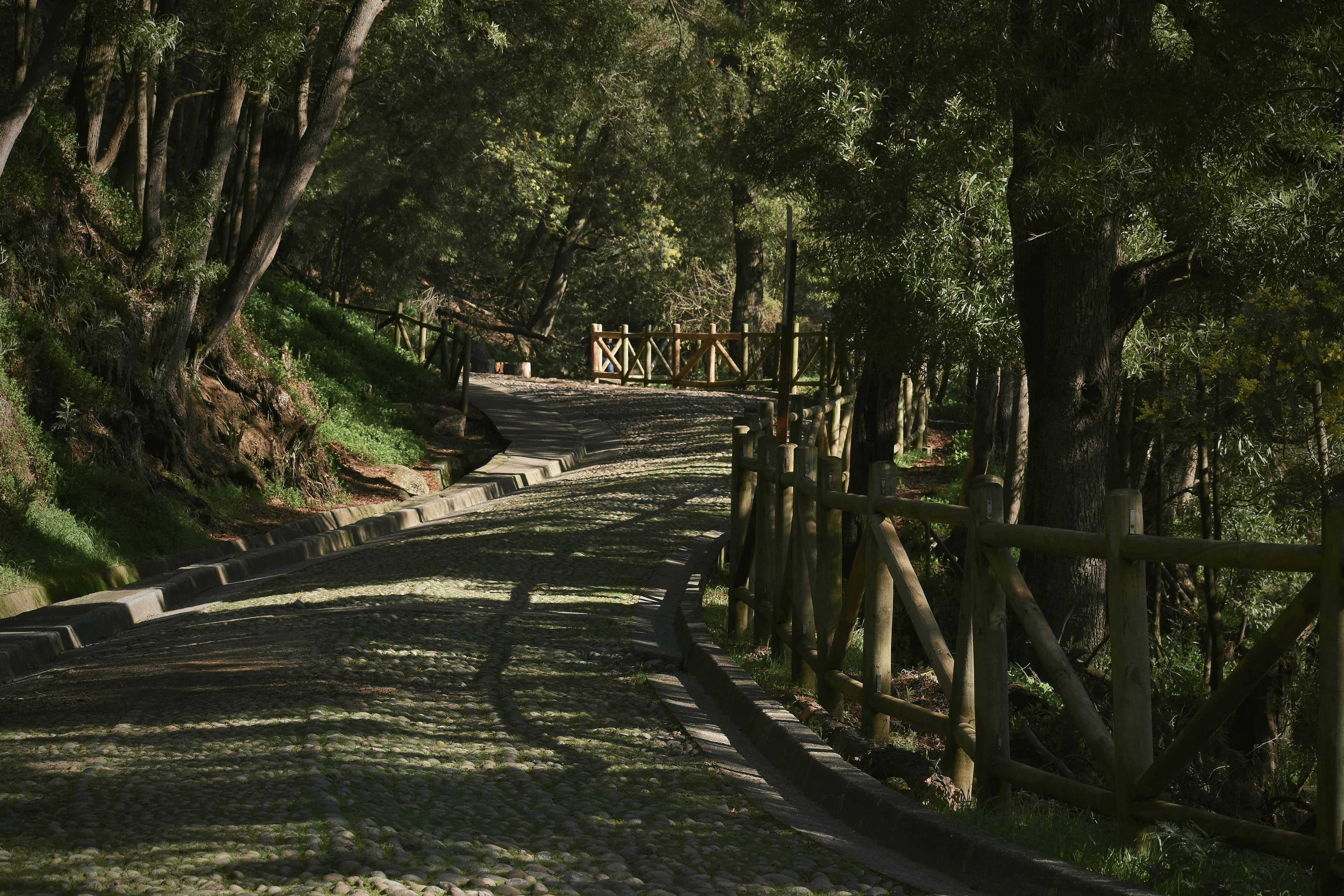 Scenic Walking Trails