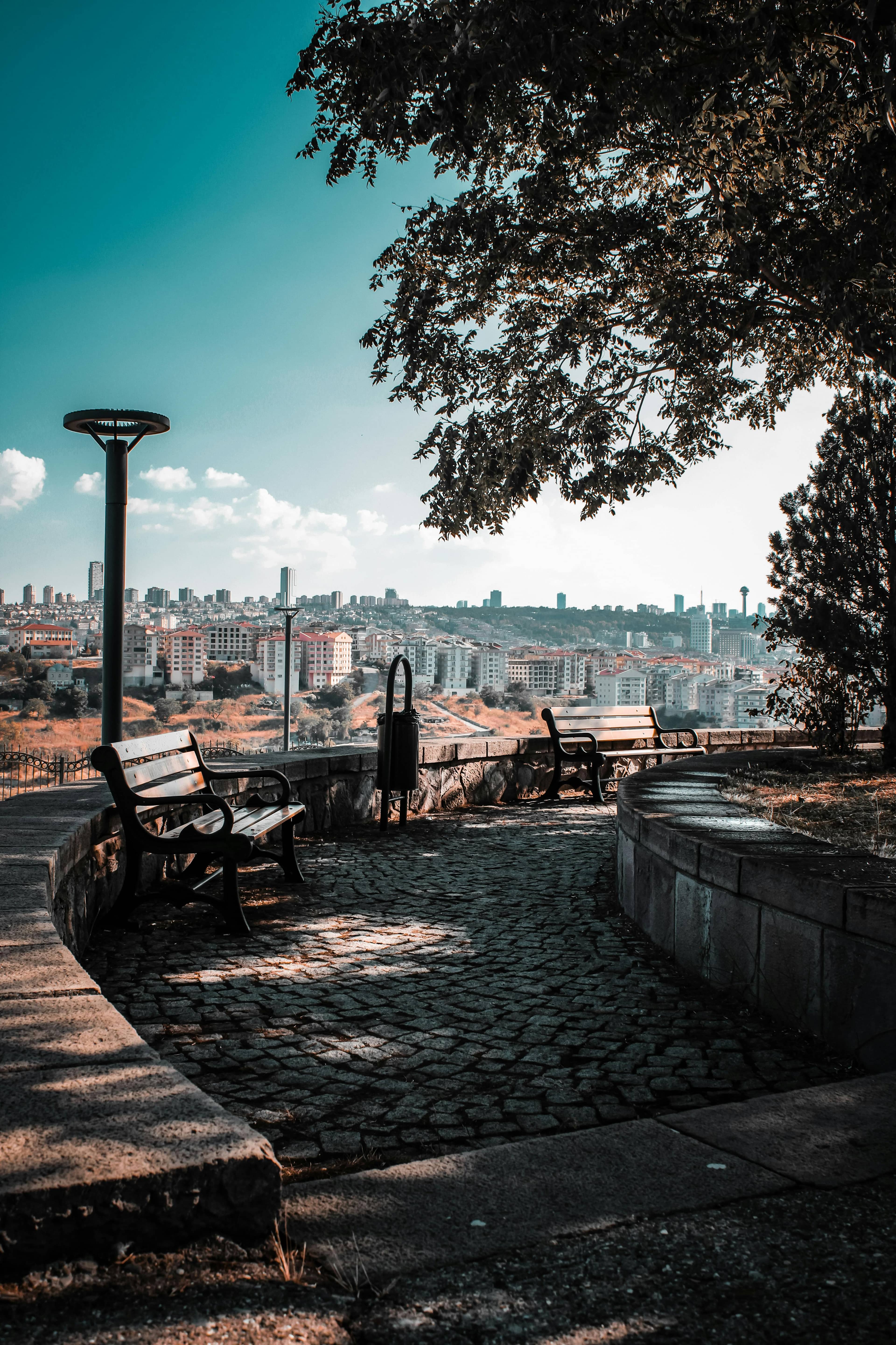 Tranquil Benches