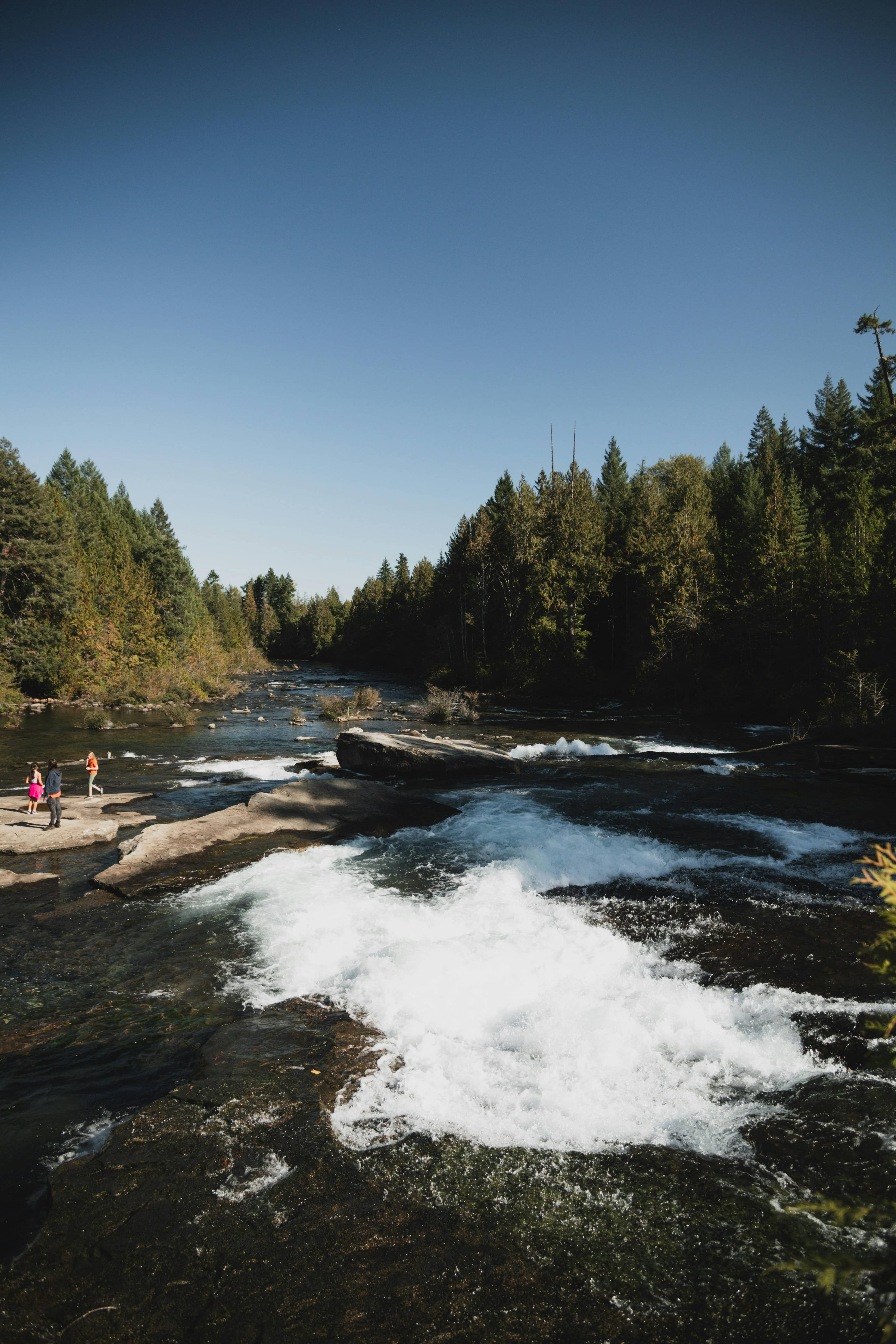 Rushing Creek Scenery