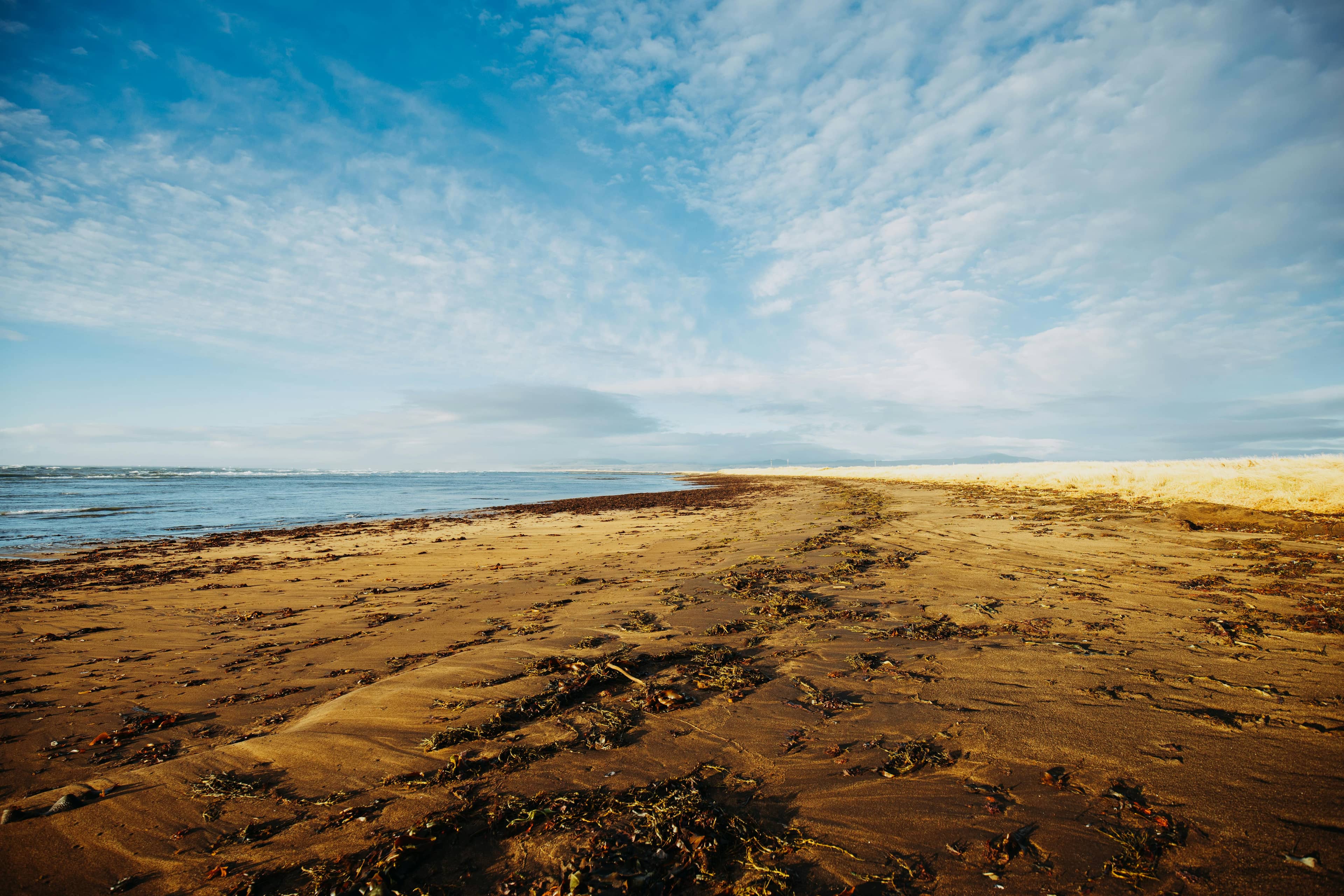 Expansive Sandy Shoreline