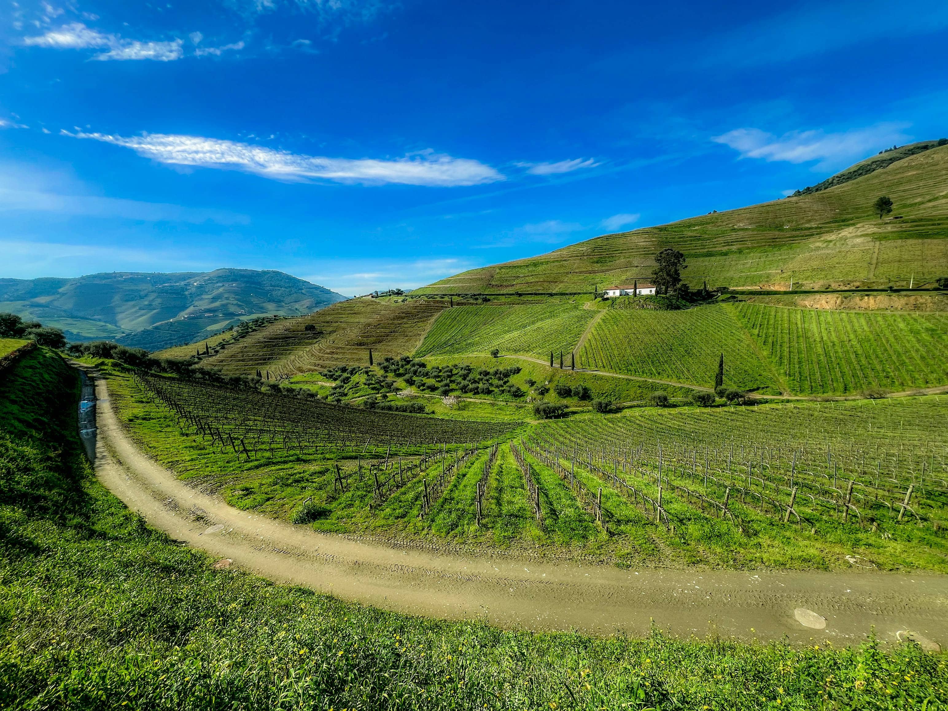Scenic Drives and Views