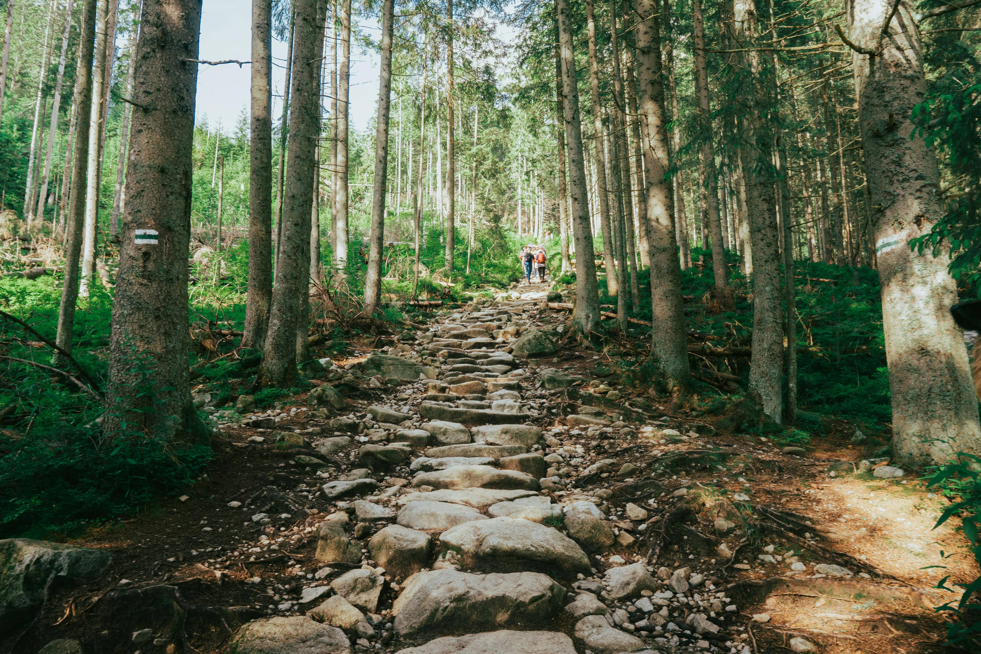 Stone Steps Descent