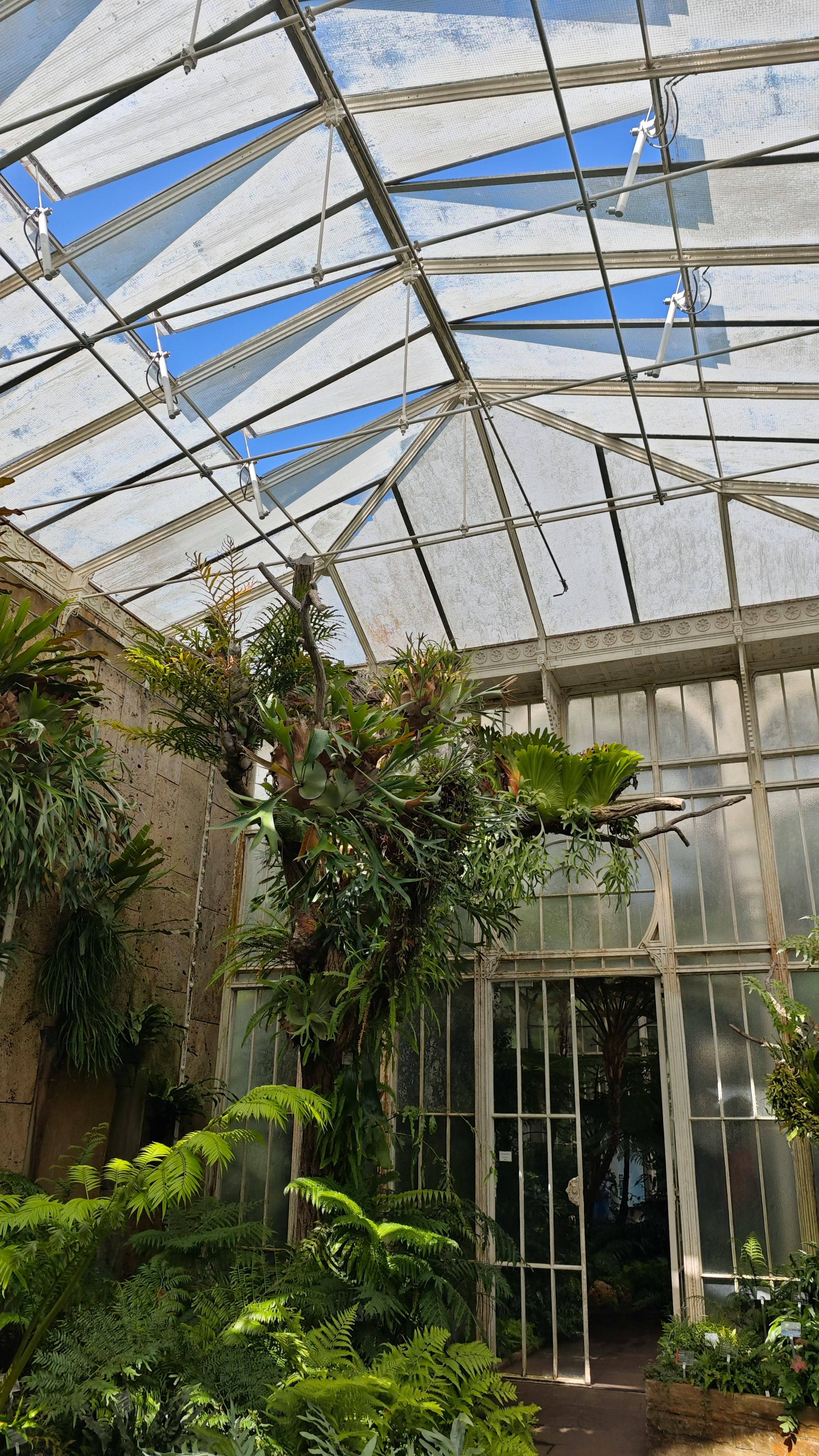 Enchanted Greenhouse Gardens