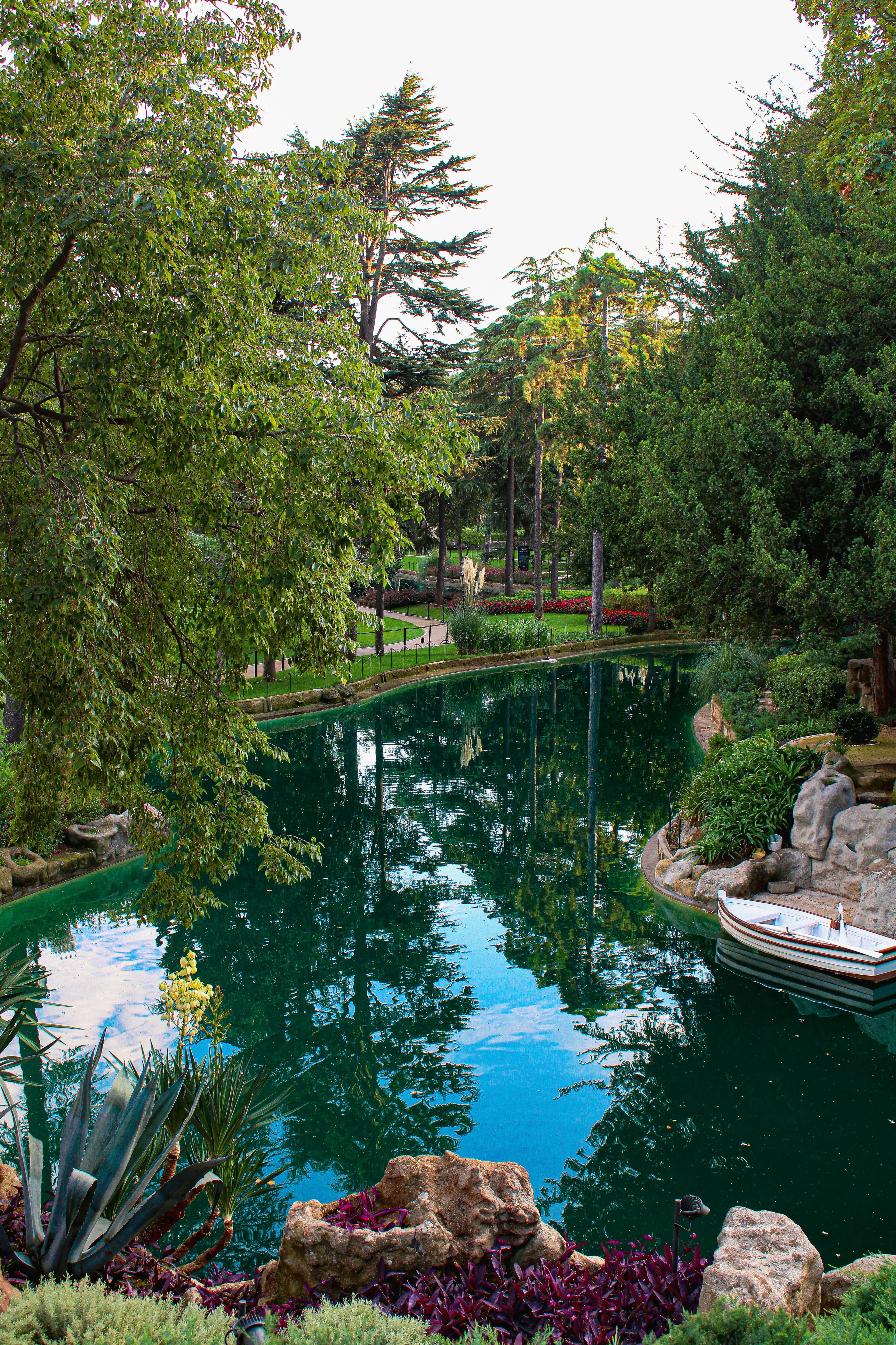 Lake and Greenery