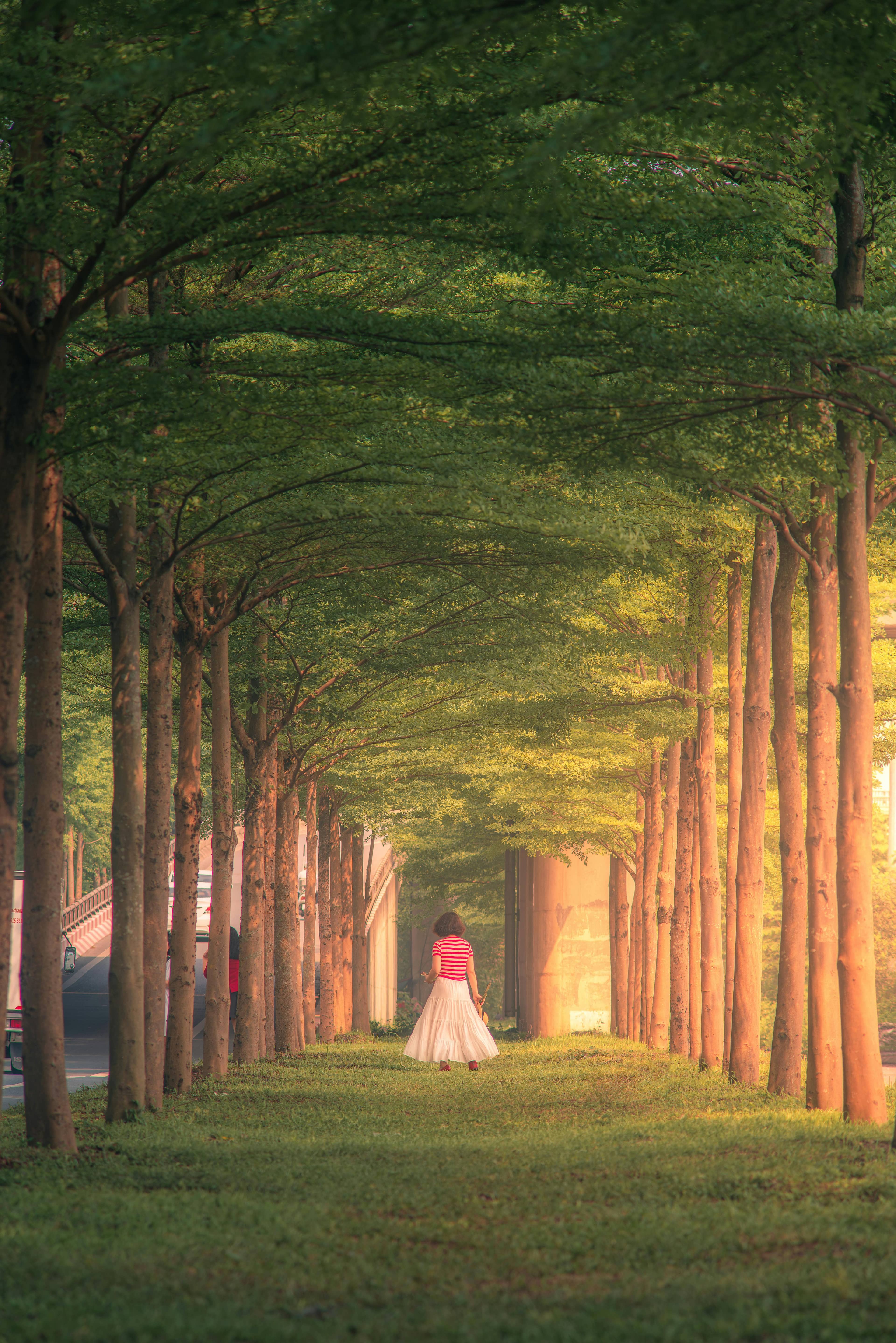 Lush Greenery & Trails