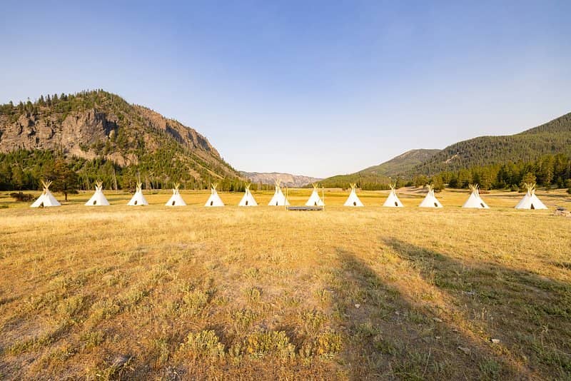 Stargazing Opportunities
