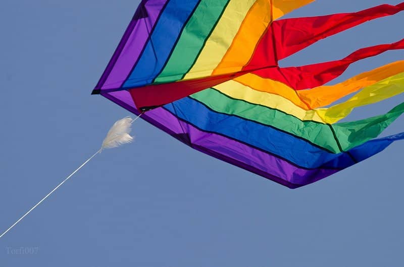Kite Flying Fun