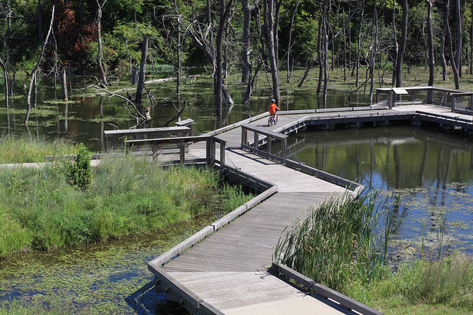 Wetlands Nature Walk