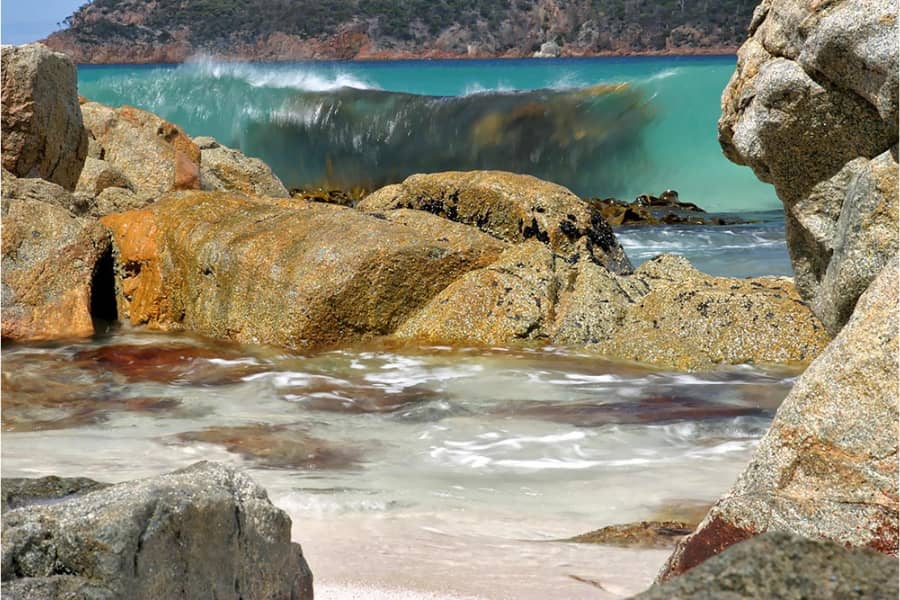 Tidal Pool Exploration