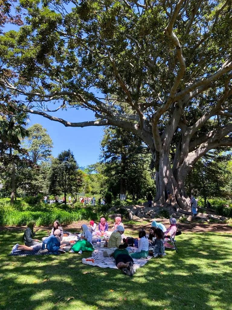 Tranquil Picnic Spots