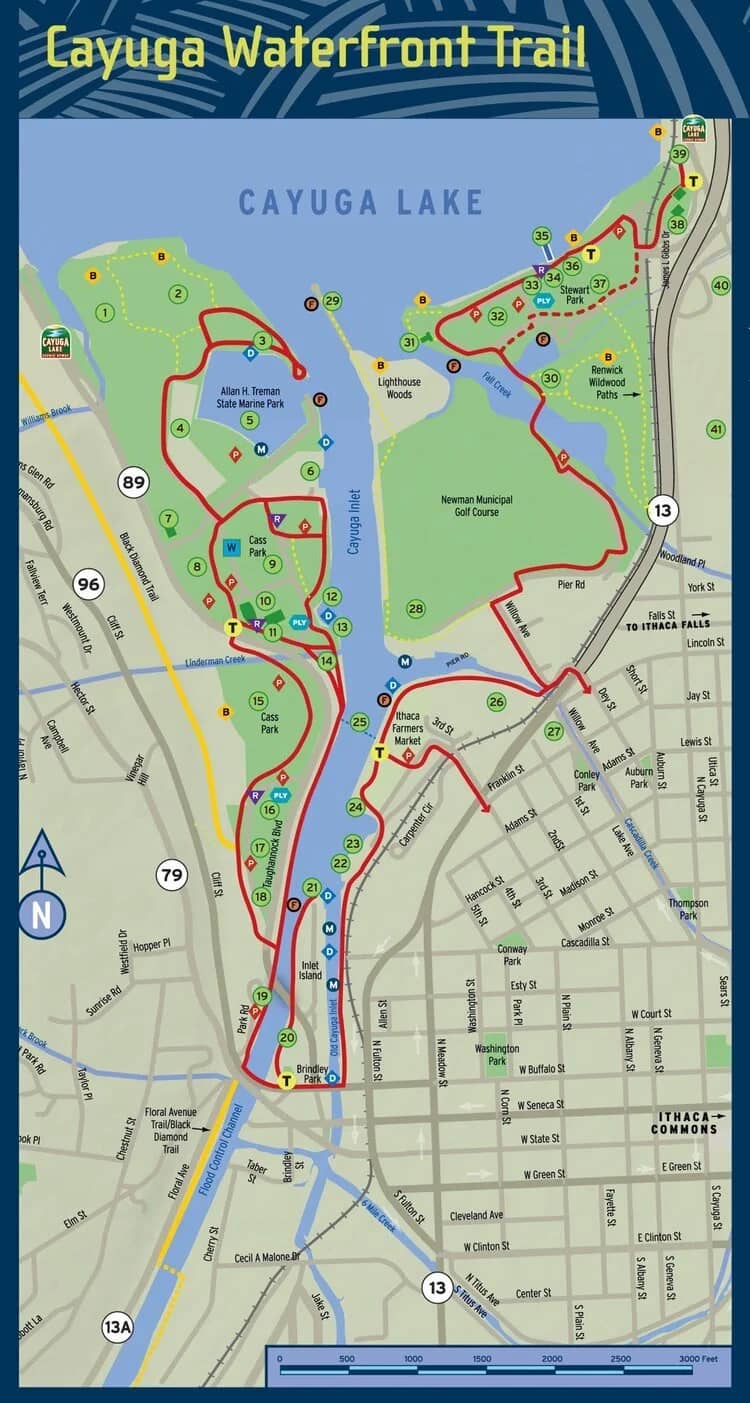 Cayuga Waterfront Trail Access