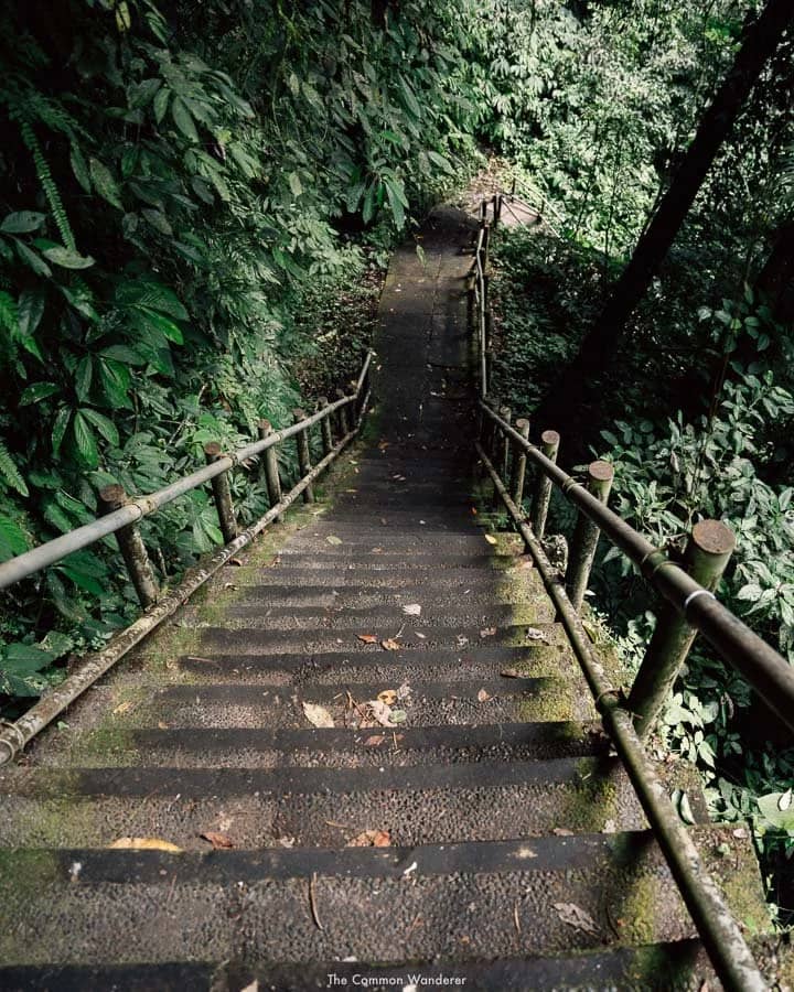 The Stairway Descent