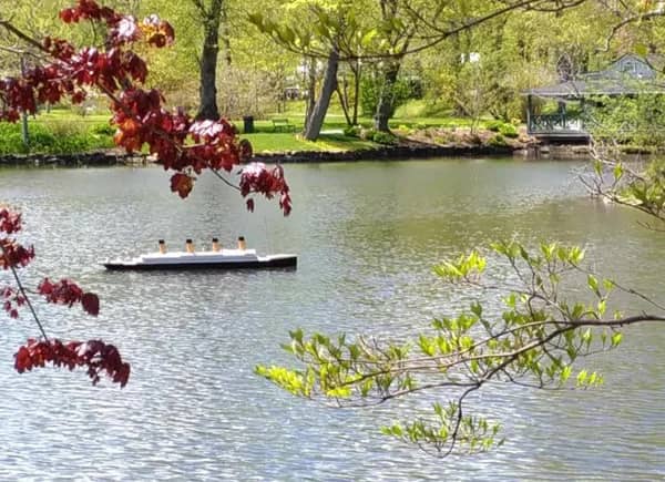 Peaceful Ponds and Water Features