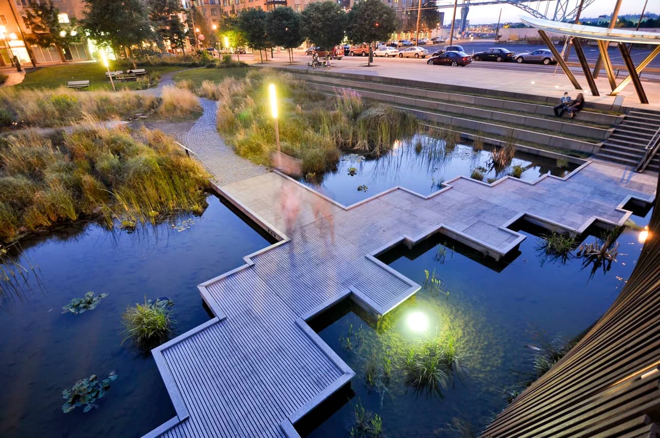 Sunken Pond with Lily Pads