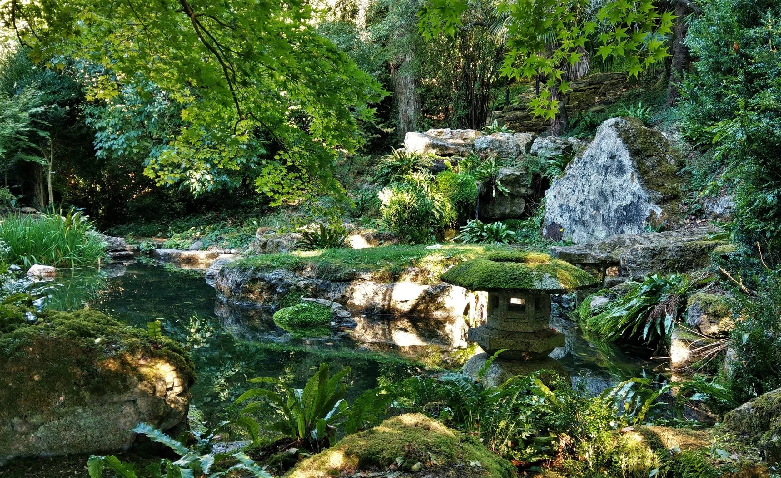 Tranquil Japanese Garden