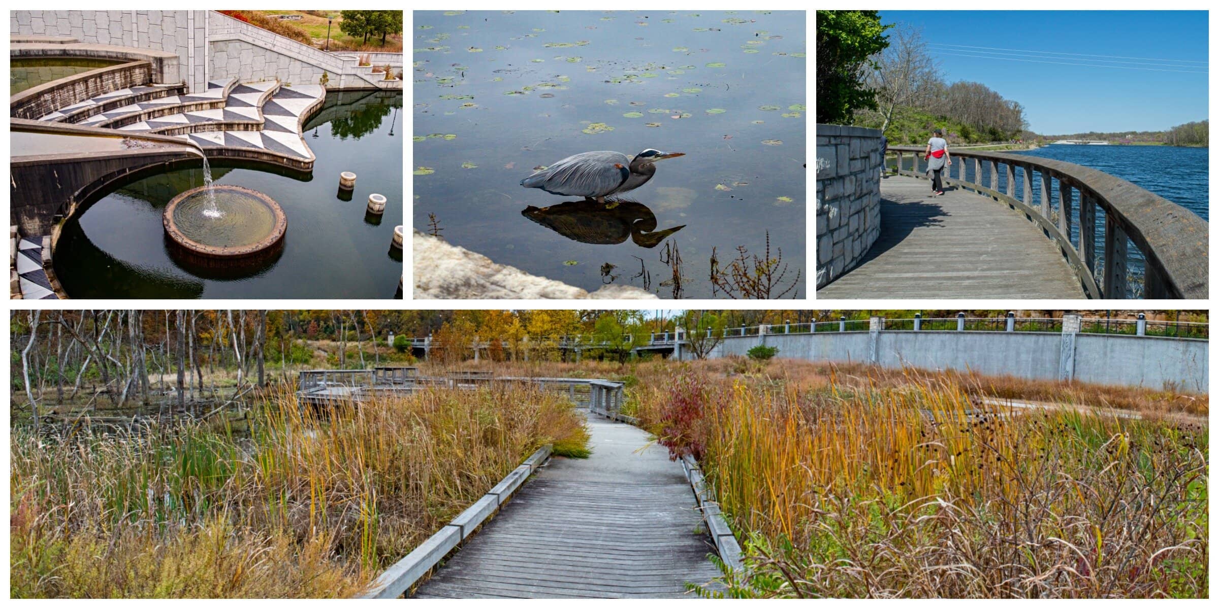 Paved Lakeside Trail