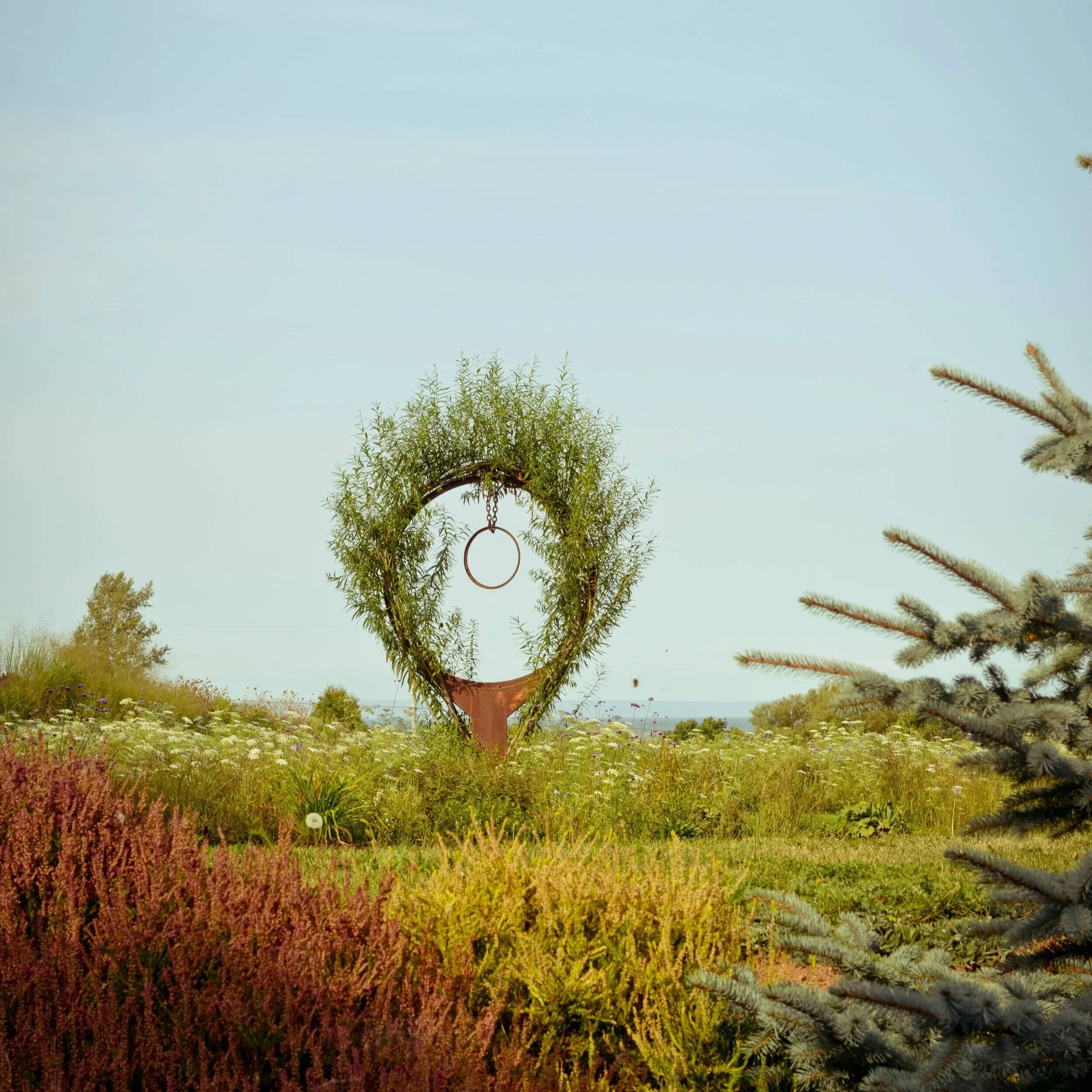 Tangled Garden