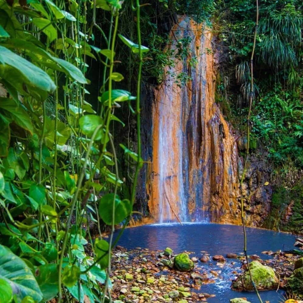 Diamond Falls Botanical Gardens