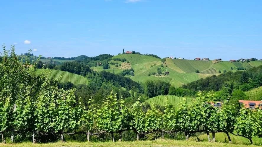 Picturesque Rural Landscapes