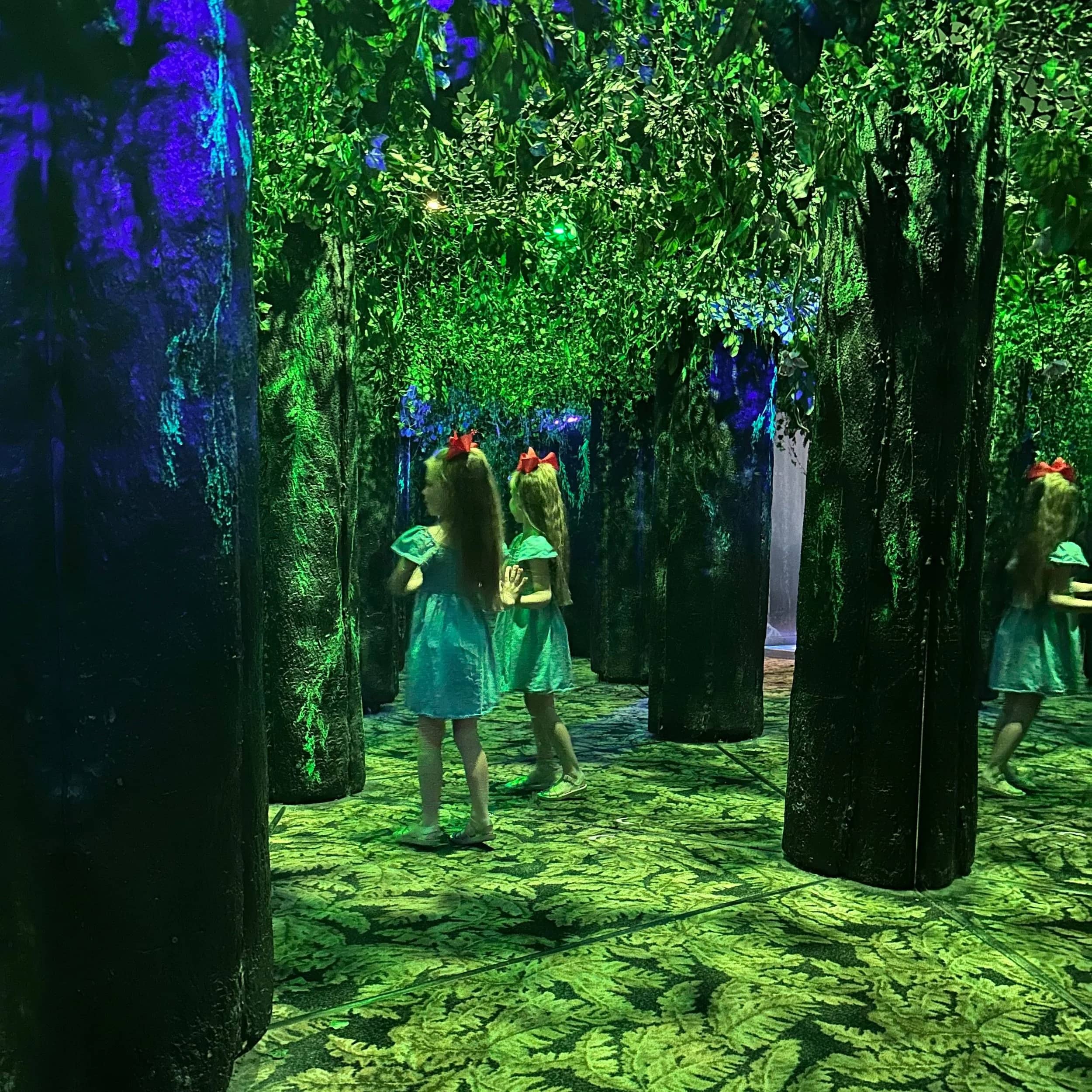 Mirror Maze