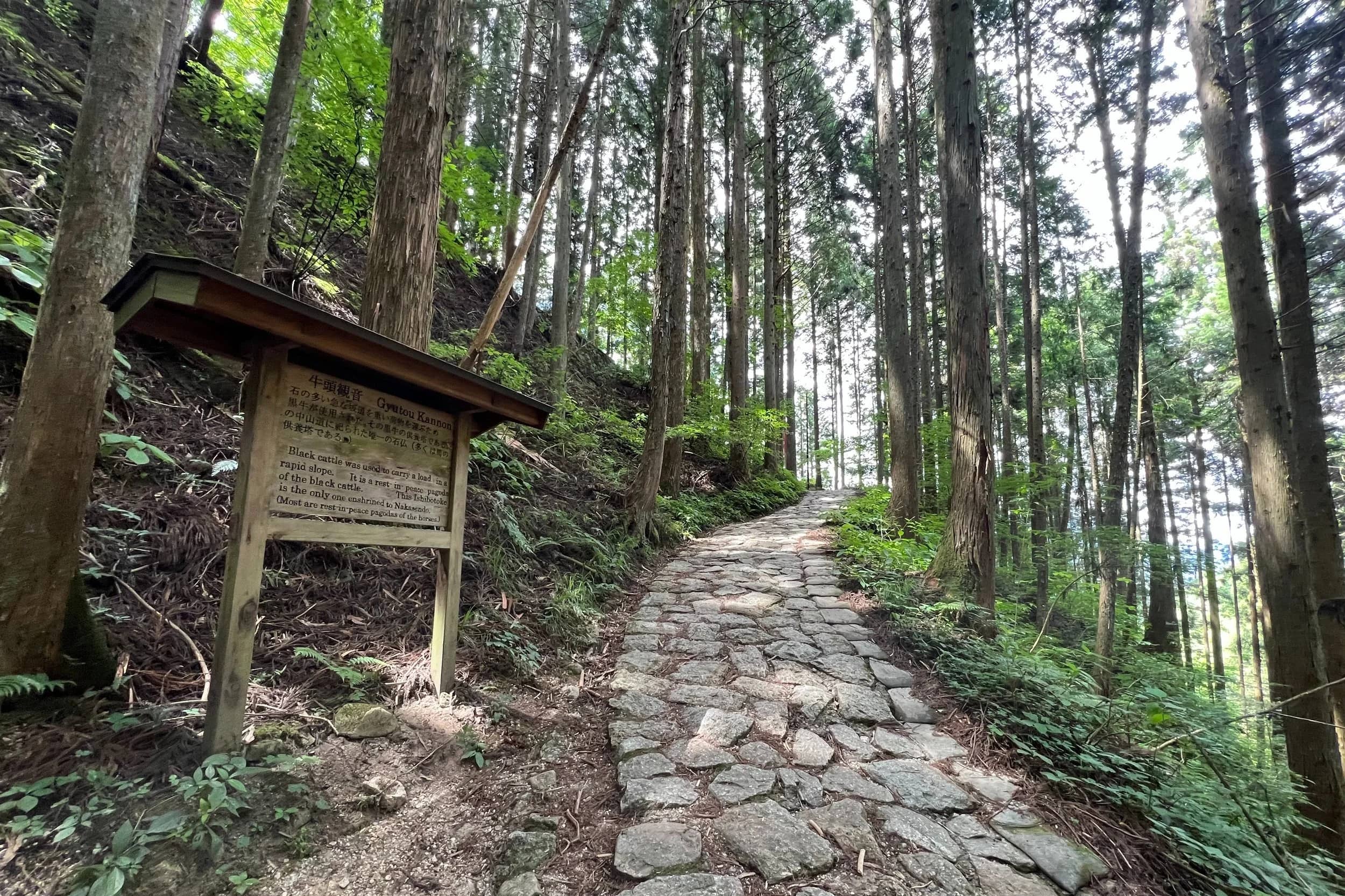 Nakasendo Trail Hike