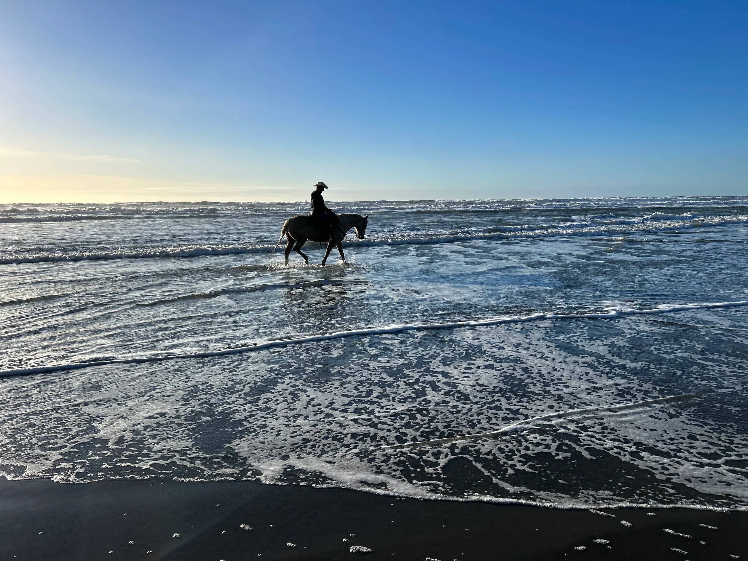 Horseback Riding Trails