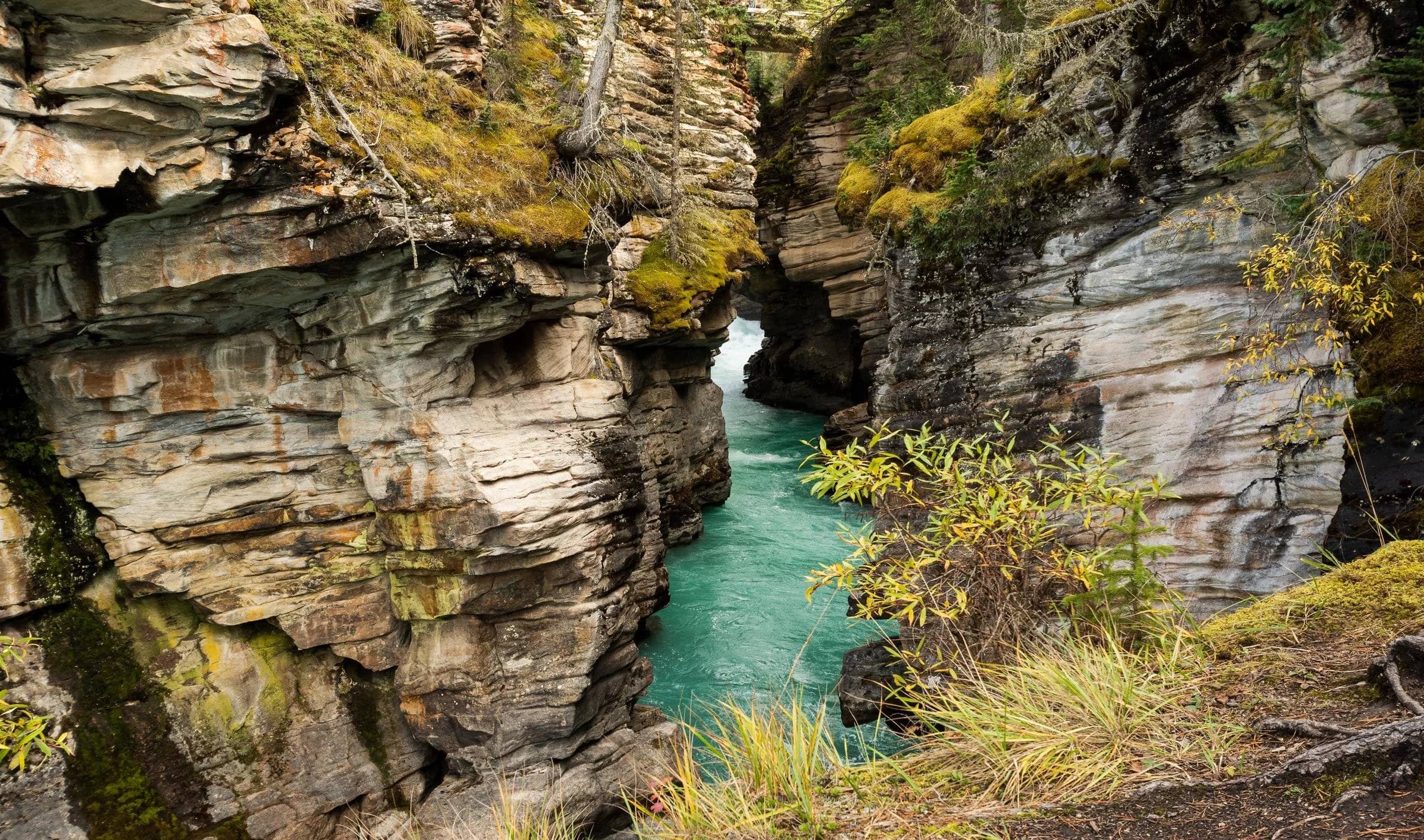 Secluded Ambiance