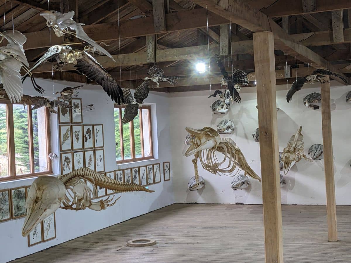 Detailed Dioramas