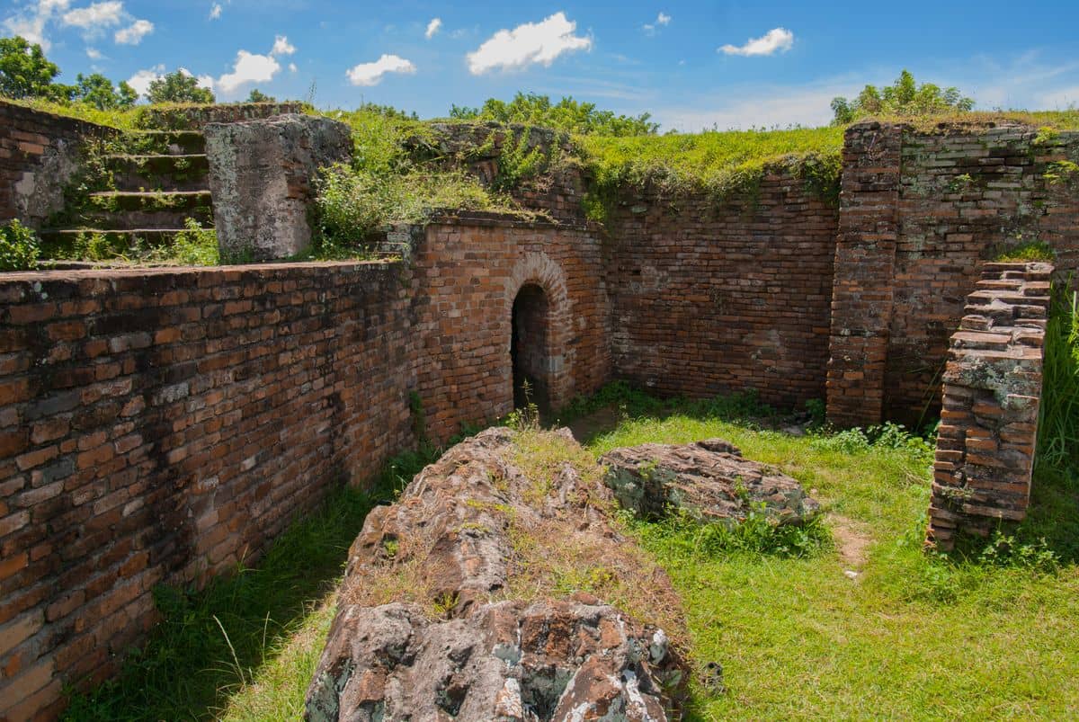 Highlights
