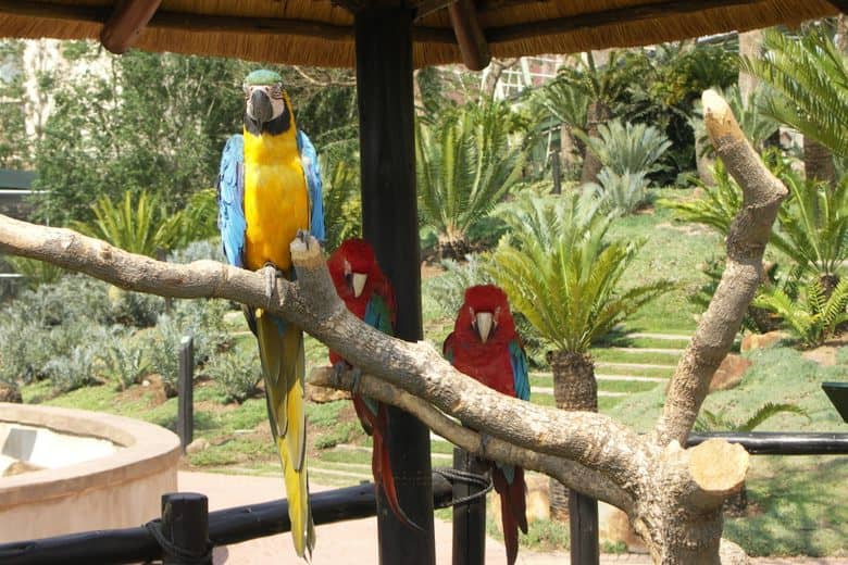 Reptile House Exploration