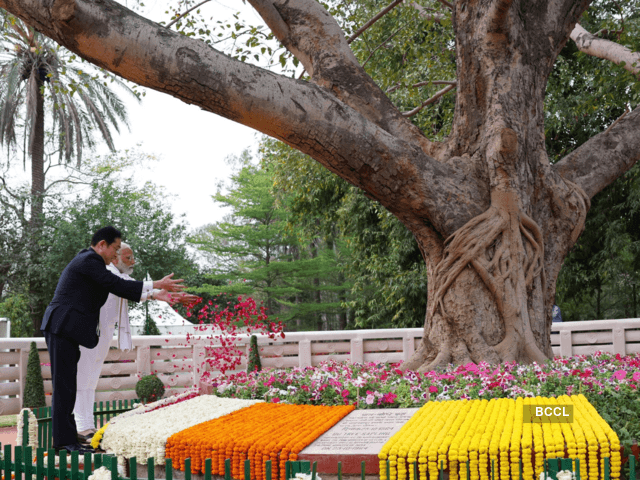 Bodhi Tree