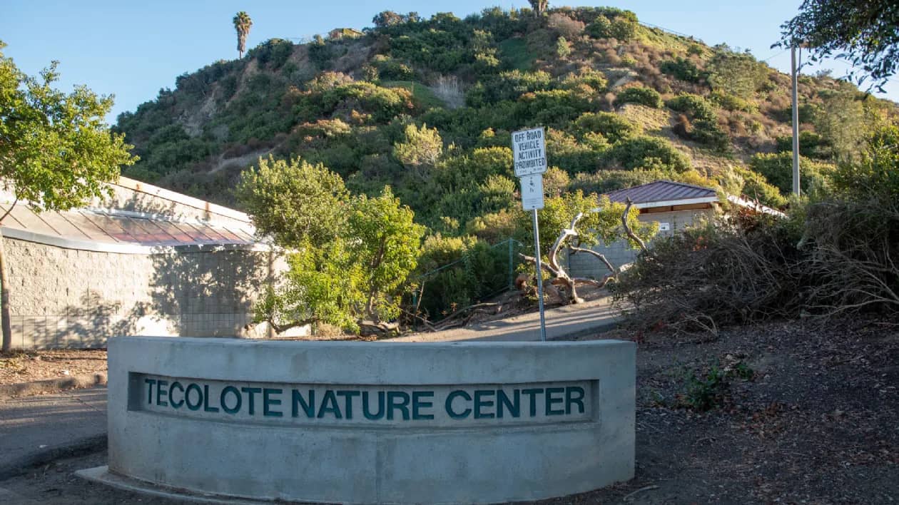 Nature Center Exploration