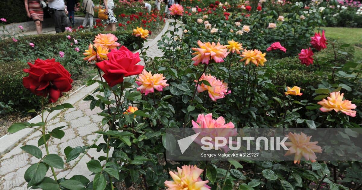 Rose and Chrysanthemum Exhibitions