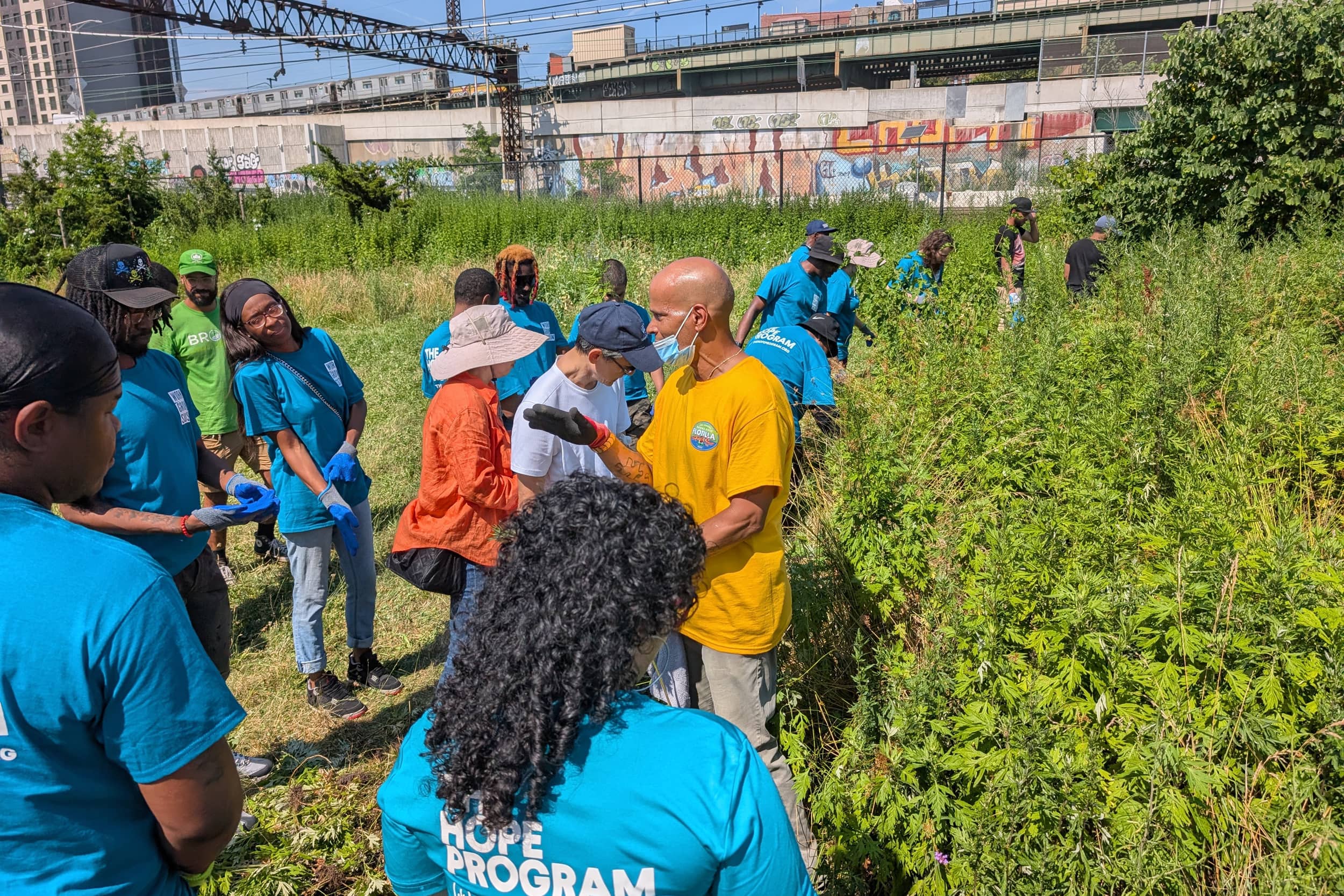 Community Gardens & Food Forest