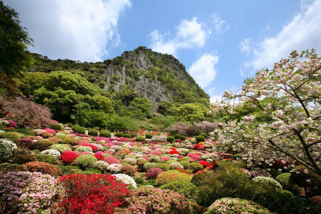 Mifuneyama Rakuen Garden