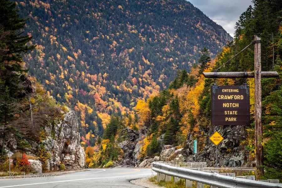Scenic Drive along Route 302