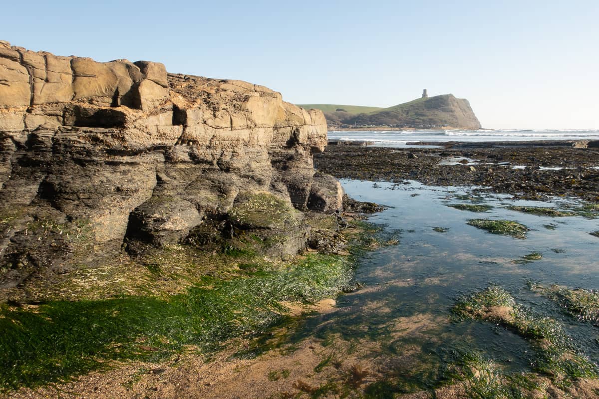Rock Pooling
