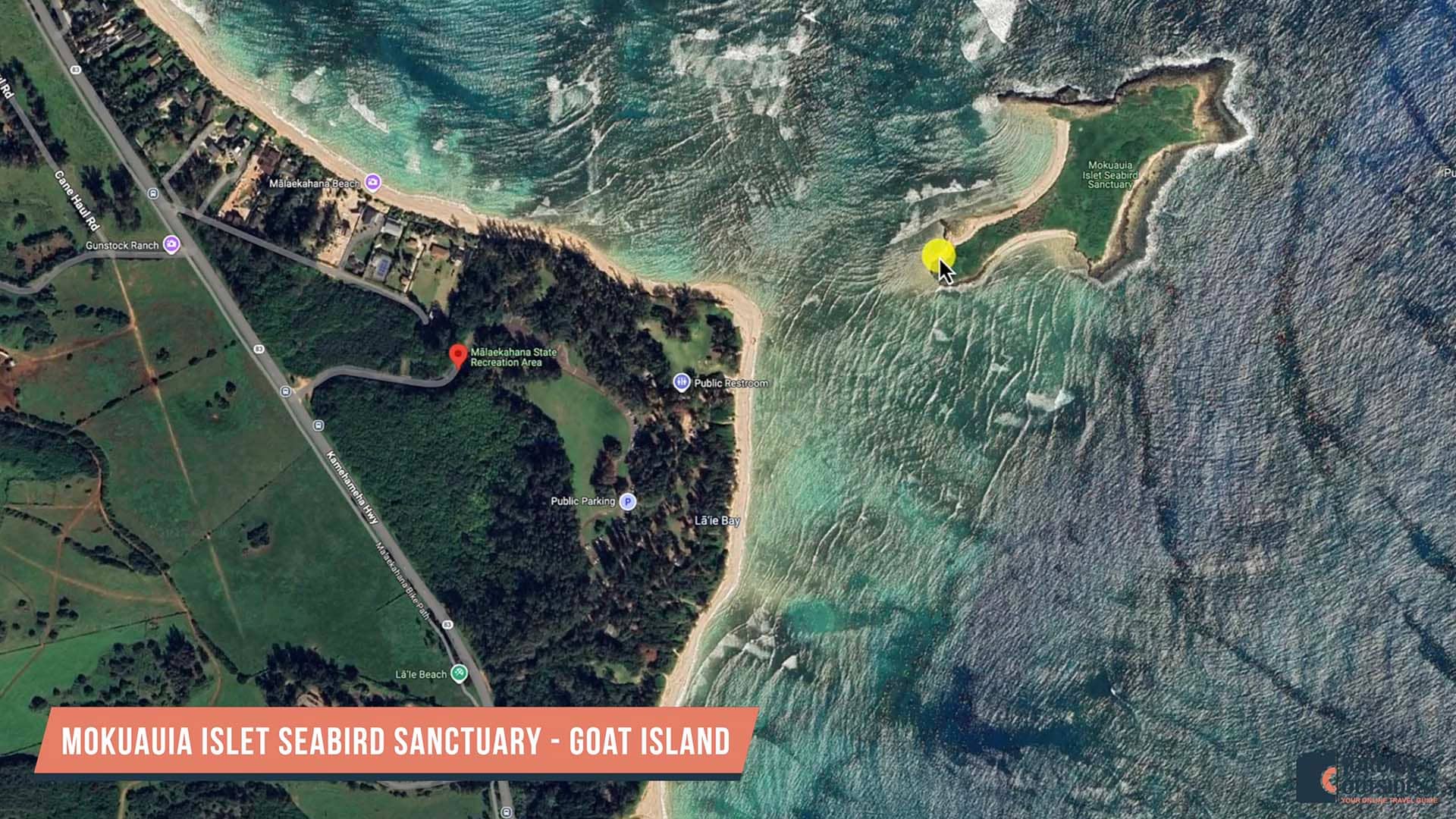Bird Sanctuary Island