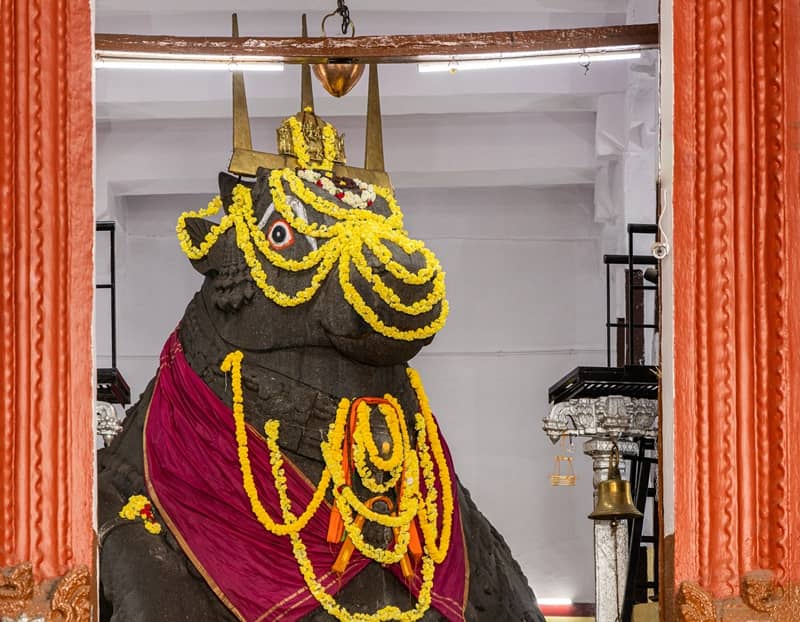 Bull Temple (Dodda Basavana Gudi)